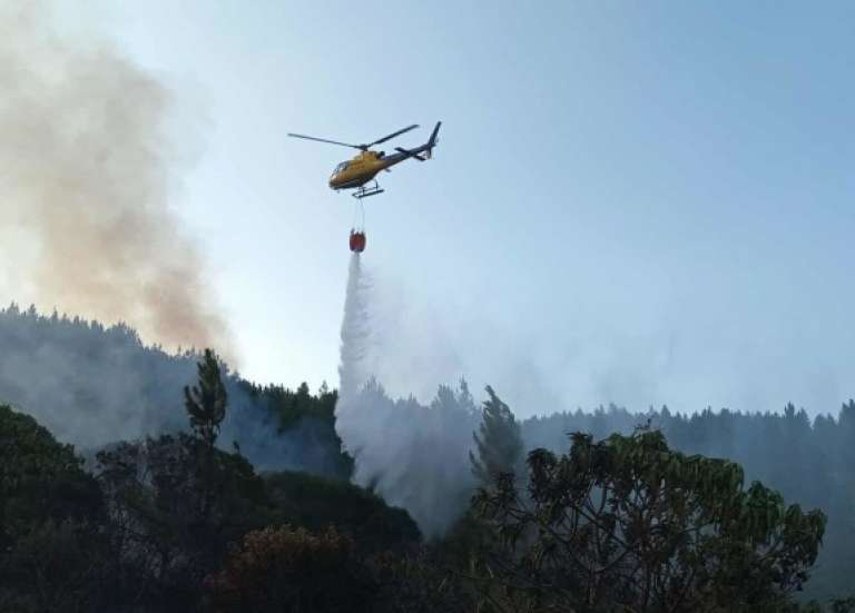 Incendie à l’île des Pins : le bilan monte à 2 000 hectares détruits
