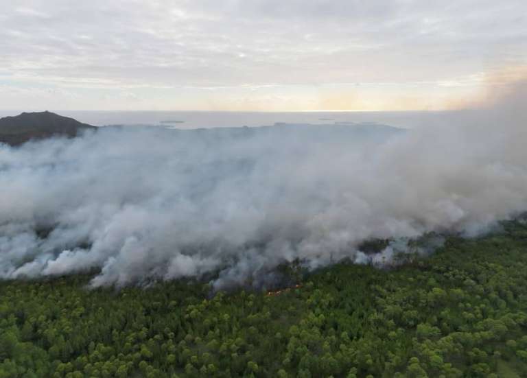 Incendie à l’île des Pins : 2 700 hectares brûlés en une semaine, le feu progresse toujours