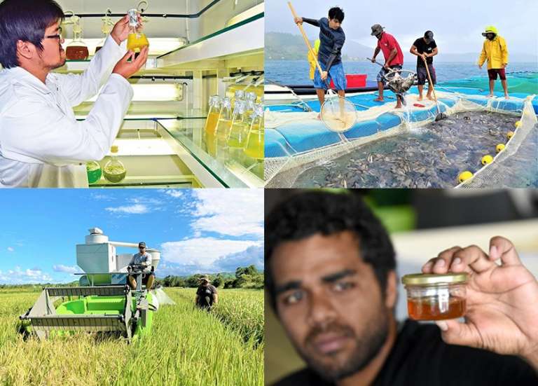 Crevettes, miel, pommes de terre, riz, picots… À quoi sert la Technopôle qui remplace l’Adecal ?