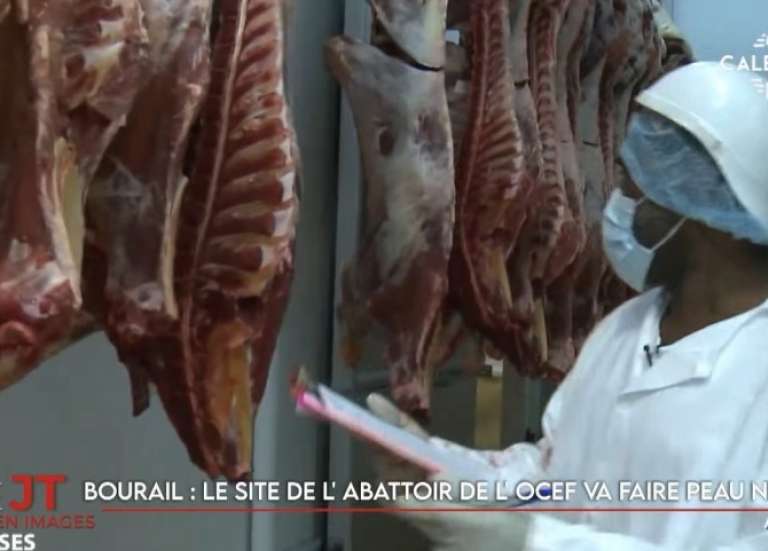 L'abattoir de Bourail bientôt rénové, le plan Orsec maintenu à Koumac… Le JT du 9 décembre de Caledonia