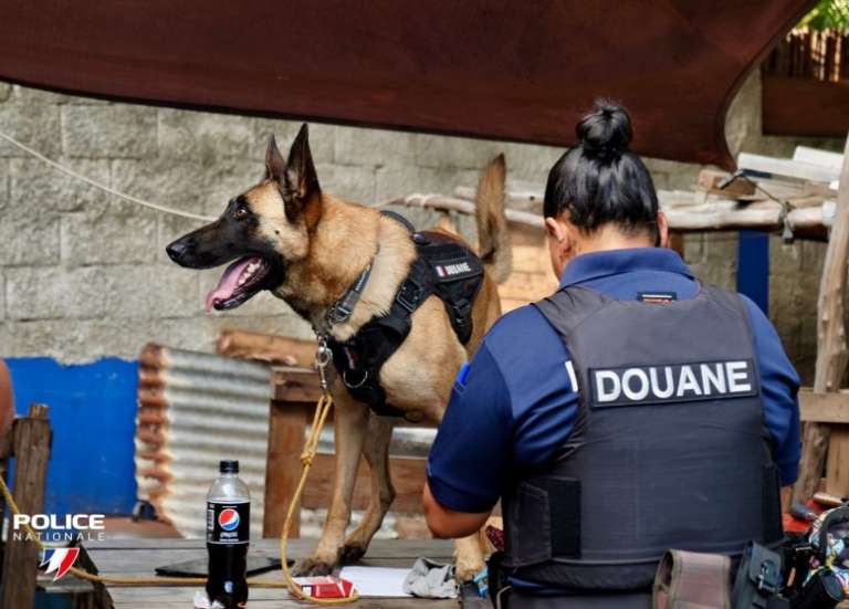 Cocaïne et cannabis dans un nakamal : le City Five fermé pendant six mois