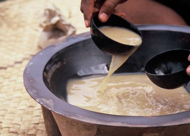 Réglementation sur les nakamals : la Fédération des exploitants de kava redoute des