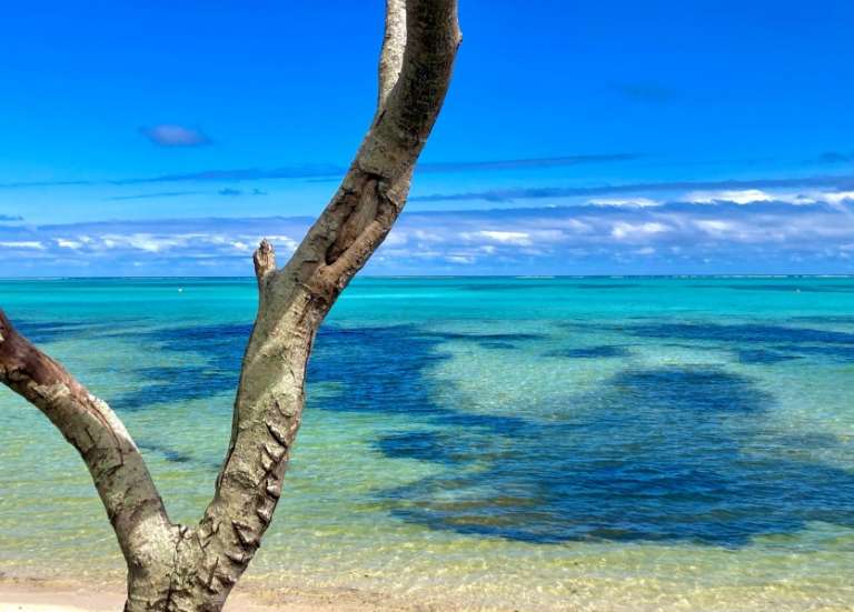 Un plongeur en bouteille attaqué par un requin à Bourail