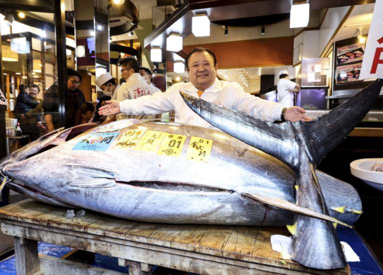 Japon : un thon rouge vendu aux enchères au prix record de 330 millions de francs