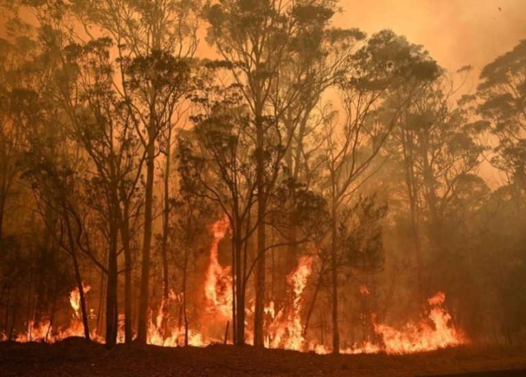 État de catastrophe dans le sud-est de l’Australie, en proie aux incendies
