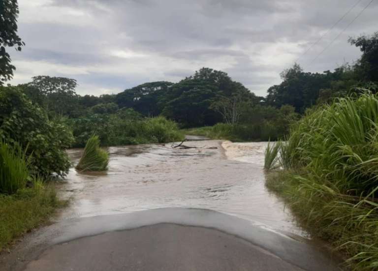 [Mise à jour] Vents violents et pluies : chutes d'arbres et inondations dans plusieurs communes de la côte Ouest