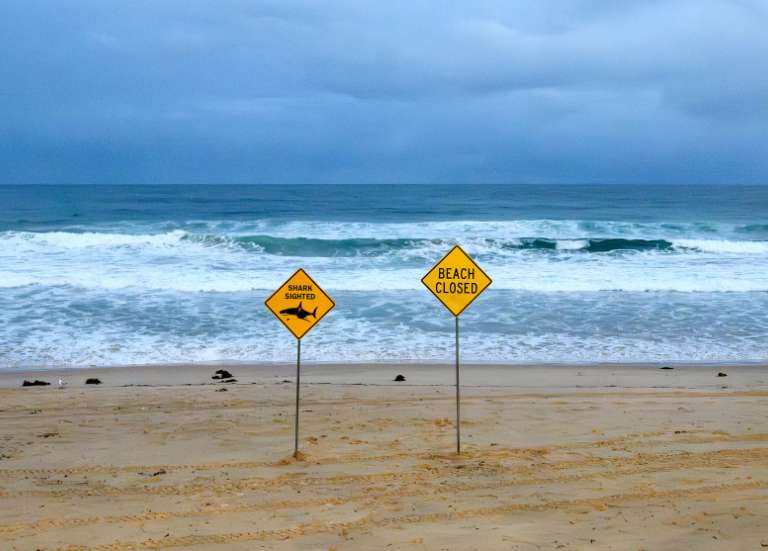 Australie : l’adolescent attaqué par un requin en baie de Sydney est décédé