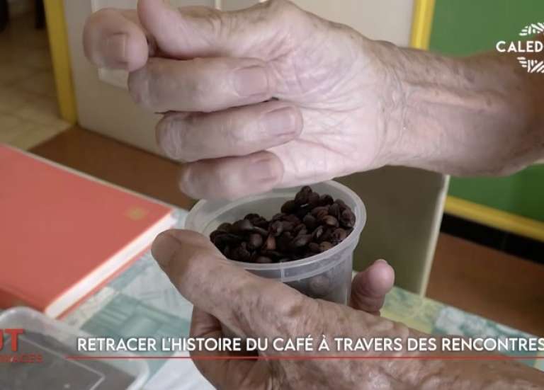 Bras de fer entre le gouvernement et la Ddec, Dry january, histoire du café… Le JT de Caledonia du 5 février