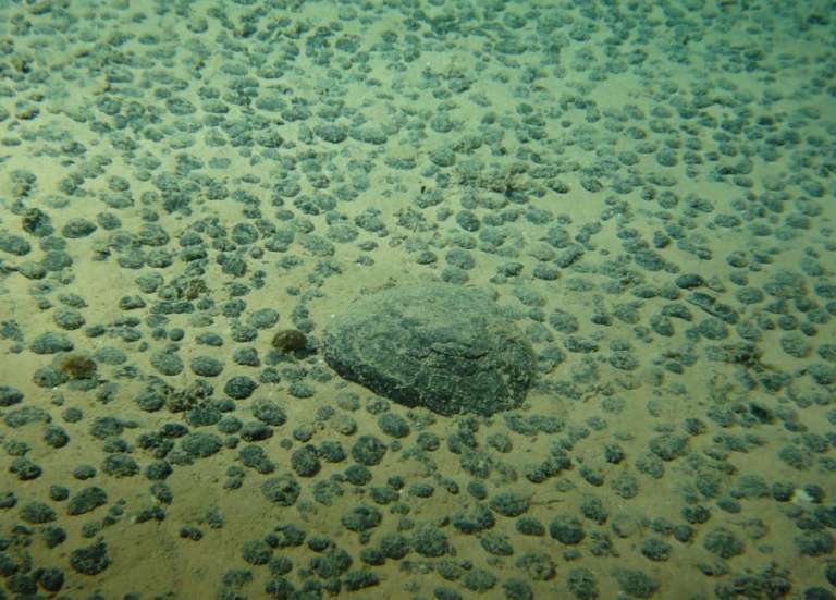 Le Japon aurait trouvé des terres rares lors d'une mission en eaux profondes