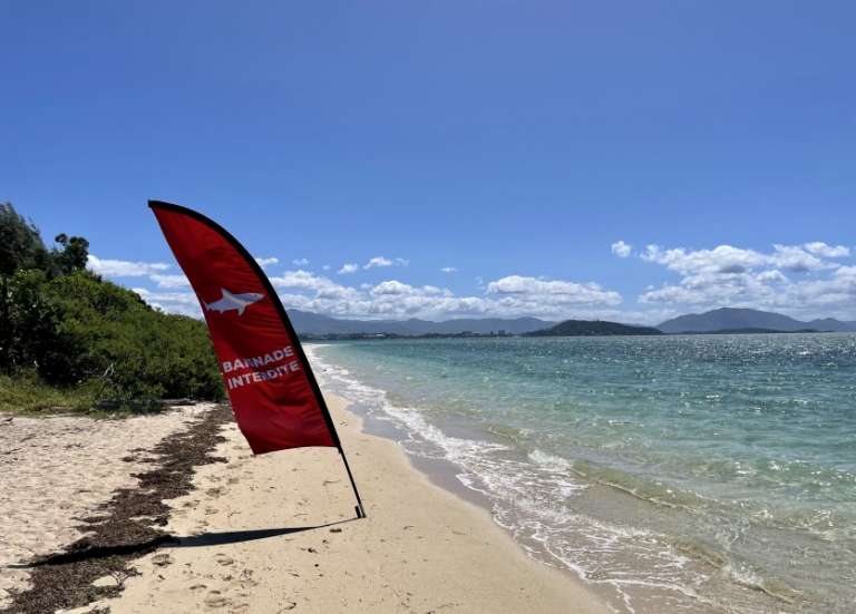 Abattage de requins : EPLP annonce vouloir poursuivre Sonia Lagarde et Sonia Backès en justice