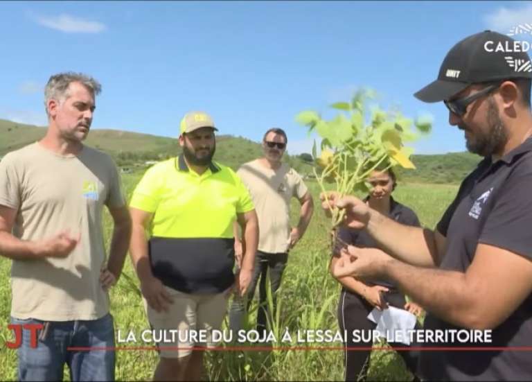 Des essais de culture de soja, campagne contre le papilloma virus… Le JT de Caledonia du 4 mars