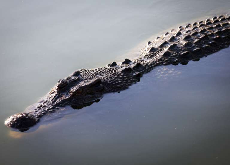 L’Australie met en garde contre la présence de