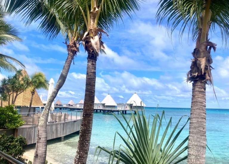 La province Sud instaure une aide à la trésorerie pour les entreprises touchées par la crise requins