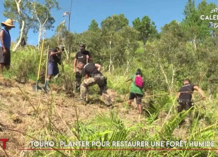 Bilan de rentrée à l’UNC, municipales, forêt humide à Thio… Le JT de Caledonia du 19 mars