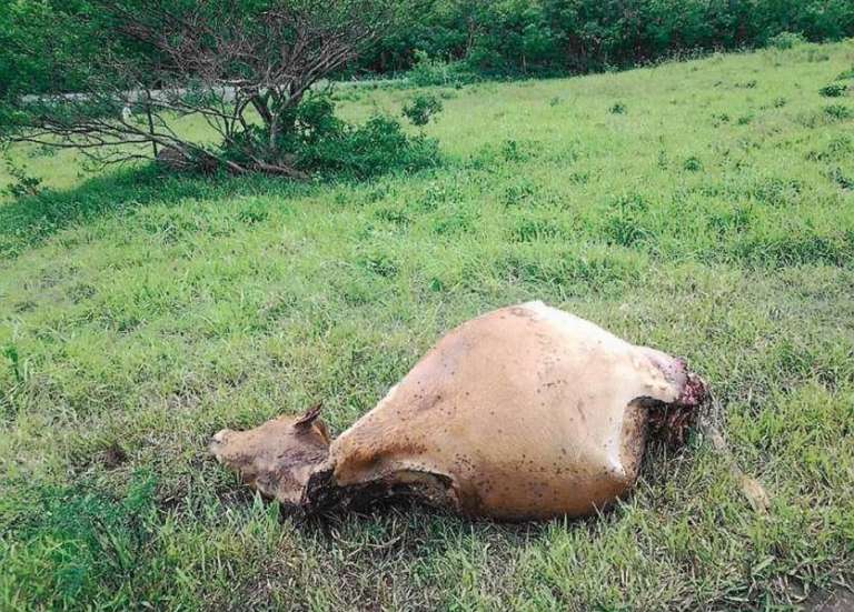 Une convention pour renforcer la sécurité des exploitations agricoles