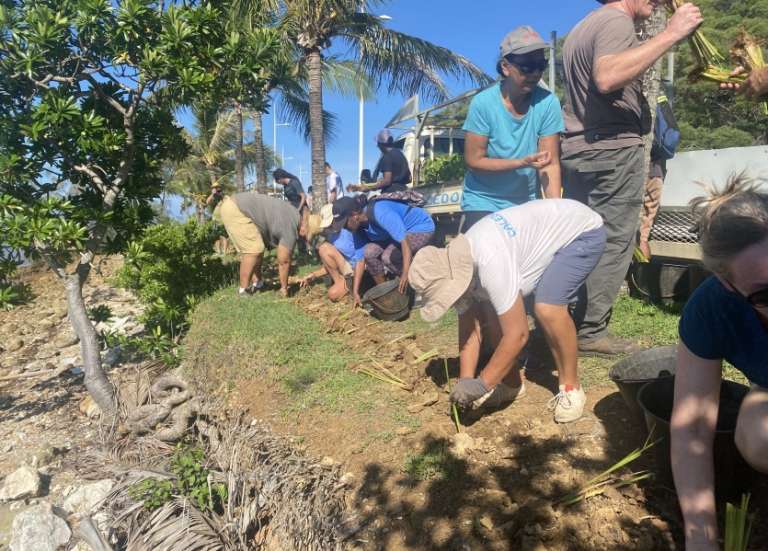 A la côte Blanche, des citoyens replantent pour freiner l’érosion