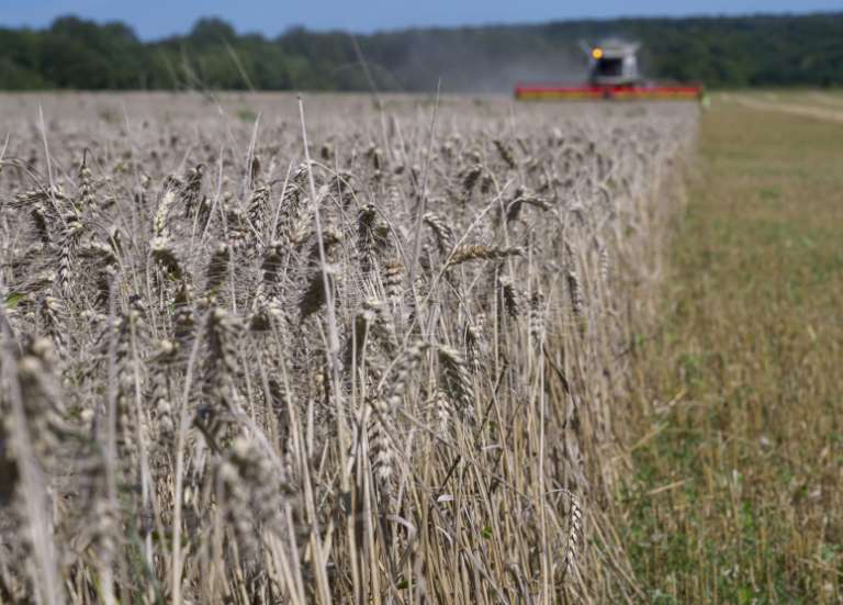 L’alimentation est la cause principale de l’exposition au cadmium