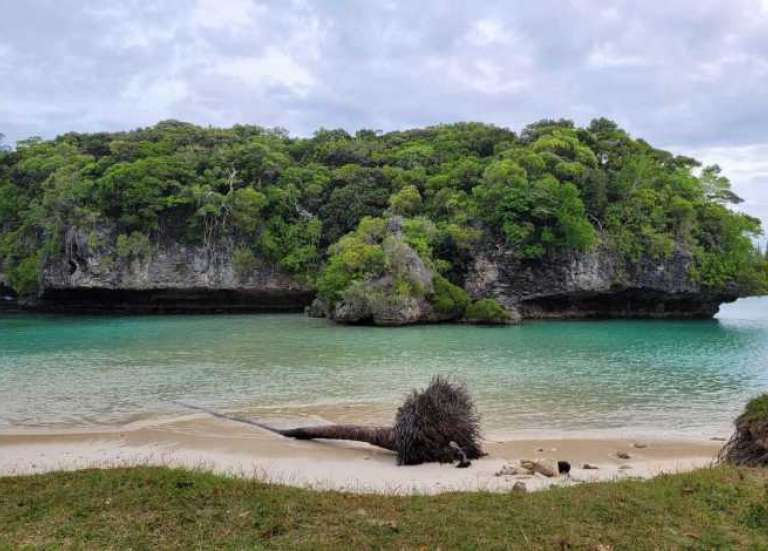 Affaire Mika Kusama : l’enquête relancée plus de vingt ans après