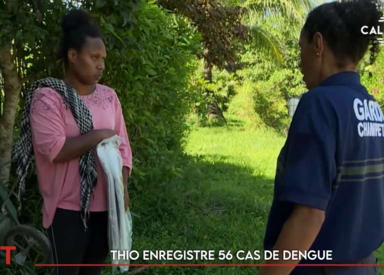 Les cas de dengue explosent à Thio, des commerces ferment à Pouembout… Le JT de Caledonia du 9 avril