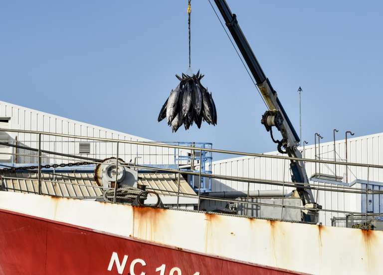 Le gouvernement fixe le cap pour la pêche hauturière