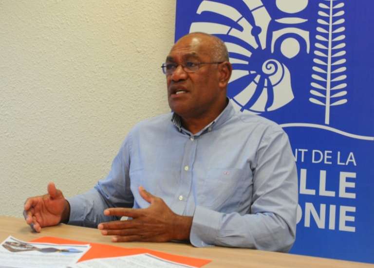 Provinciales : une partie du Rassemblement île des Pins demande 