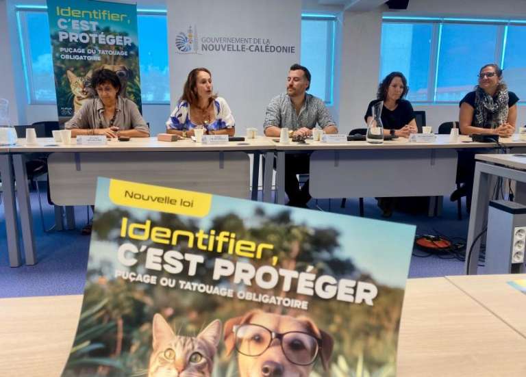 Ce que va changer la nouvelle loi sur les animaux domestiques