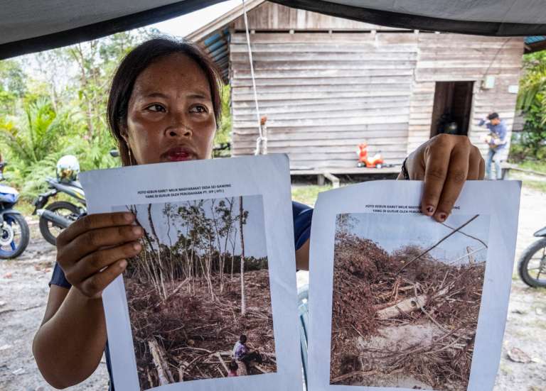 Une forêt indonésienne rasée pour un fabricant d'emballages 
