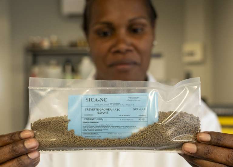 [MAGAZINE] Sica : les crevettes mangent 3 étoiles