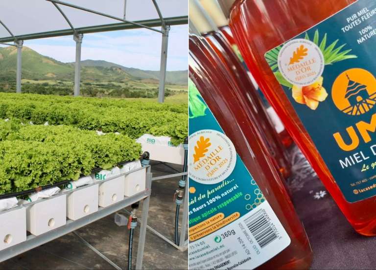 100 millions de francs pour Agrilogic et La Case du miel, qui valorisent la biodiversité calédonienne