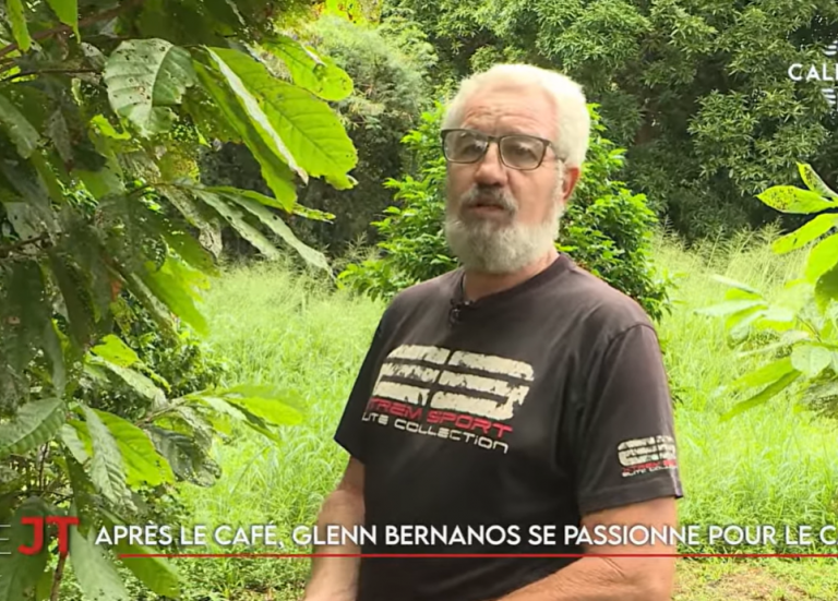 Passion pour le cacao à Voh, assemblée citoyenne au Congrès... Le JT de Caledonia du 29 avril