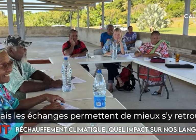 Langues et changement climatique, nager pour la sauvegarde des coraux… Le JT de Caledonia du 30 avril