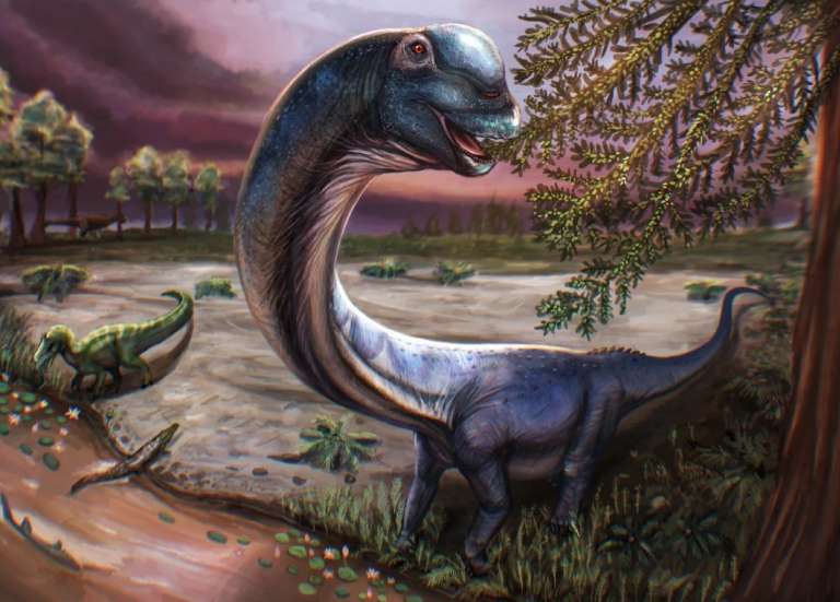 Un nouveau dinosaure géant identifié en Thaïlande : le nagatitan