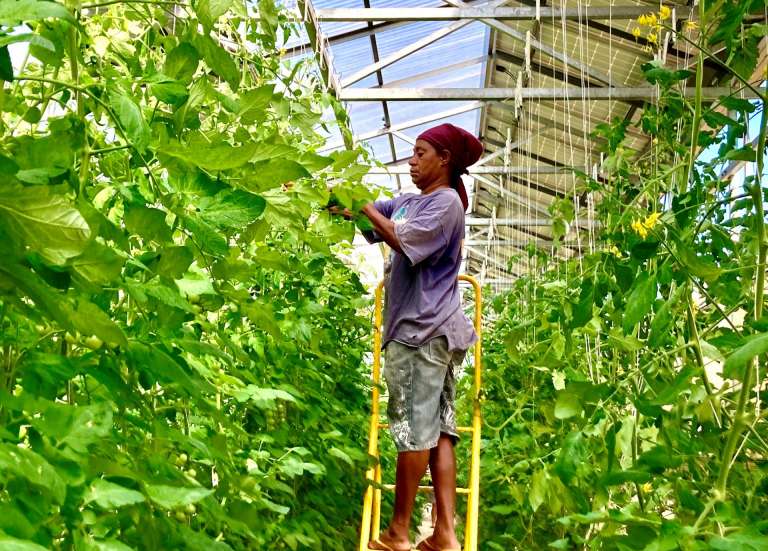 Provinciales : la Chambre d'agriculture et de la pêche dresse une liste de requêtes aux futurs élus