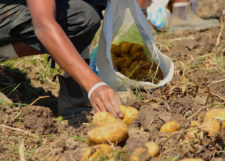 [MAGAZINE] Cap sur l’installation : un dispositif pour accompagner les futurs pêcheurs et agriculteurs