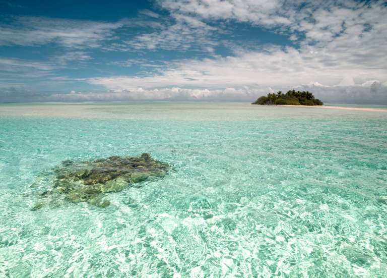 La Polynésie va renforcer la protection de la plus grande aire marine protégée du monde