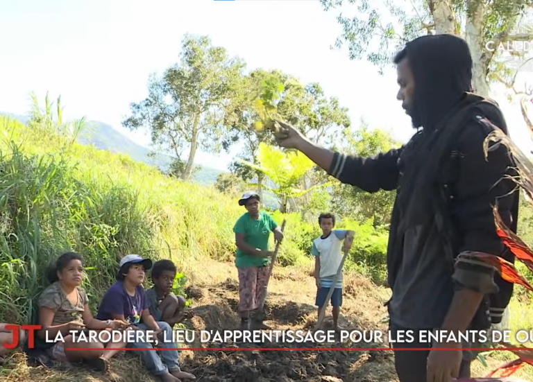 Le programme de la liste UC-FLNKS Îles, le Jeudi du centre-ville de Wallis-et-Futuna… Le JT de Caledonia du 10 juin