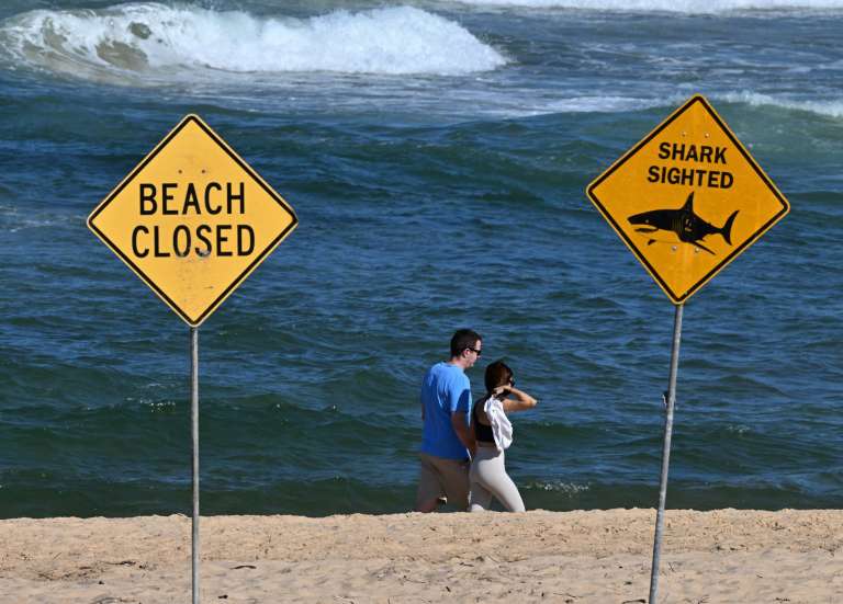 Australie : une nageuse dans un état critique après avoir été mordue par un requin à Sydney