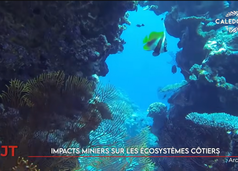 L’enjeu de l’environnement aux provinciales, les impacts miniers sur le littoral… Le JT de Caledonia du 22 juin