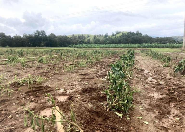 Une soixantaine d’agriculteurs indemnisés pour des épisodes pluvieux en février et mars