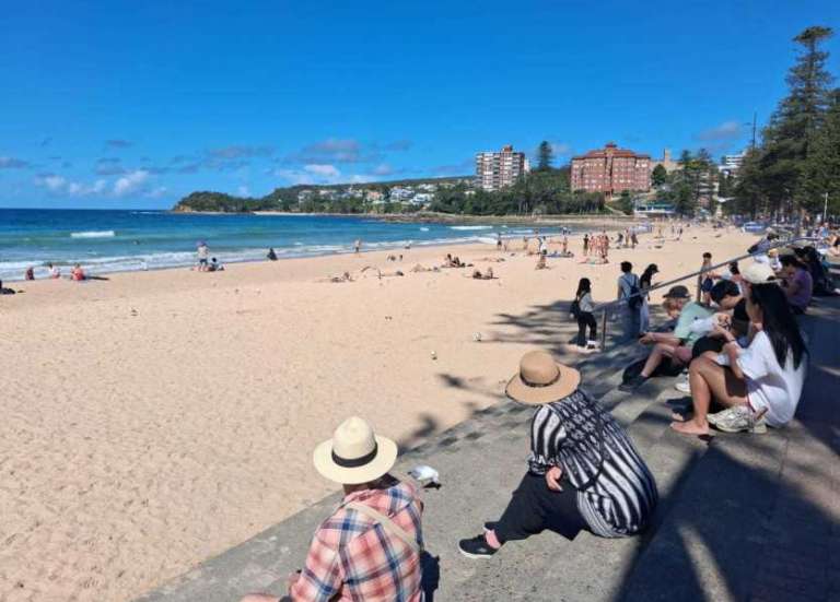 Australie : surveillance renforcée par drone des requins sur les plages de Sydney