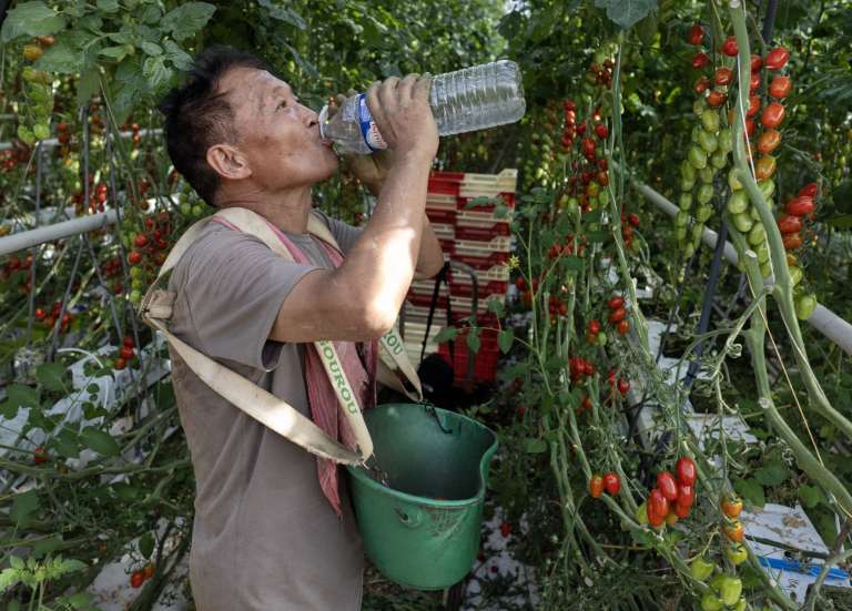 Canicule : déjà environ 1 000 décès de plus que la normale recensés en France