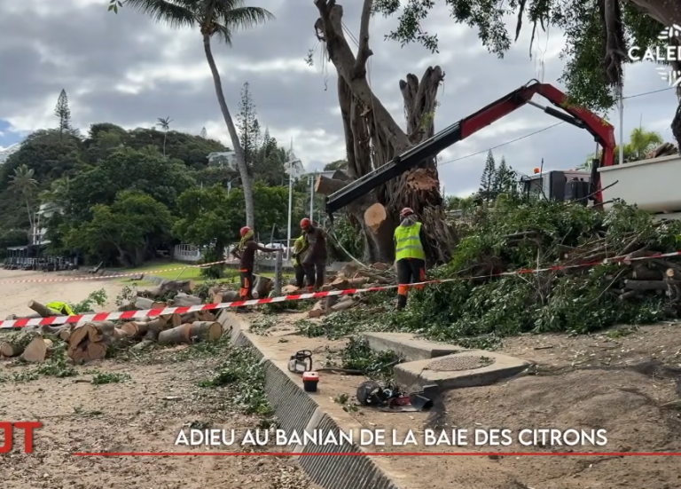 Recours de Jacques Lalié, réouverture du conservatoire à Dumbéa.... Le JT du mardi 30 juin de Caledonia