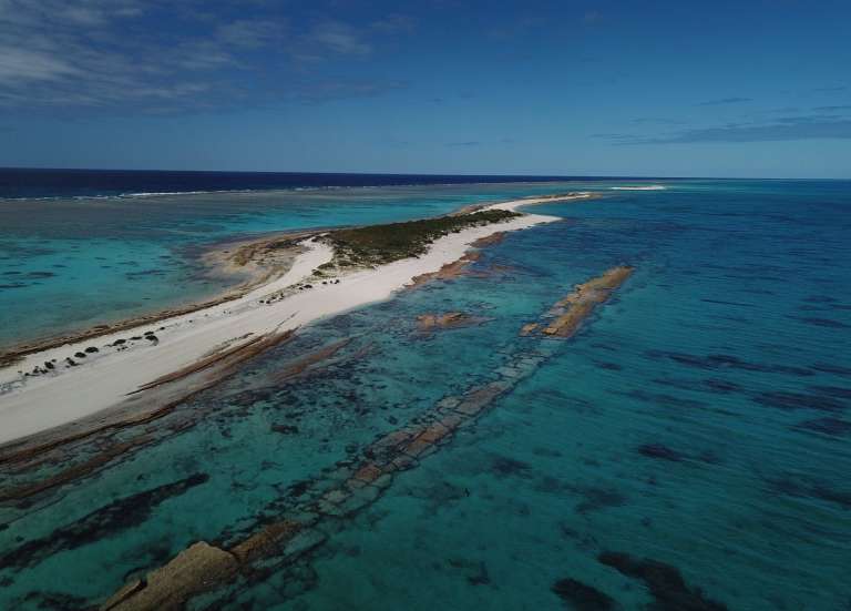 Un câble hors service va être démantelé dans les profondeurs de la mer de Corail