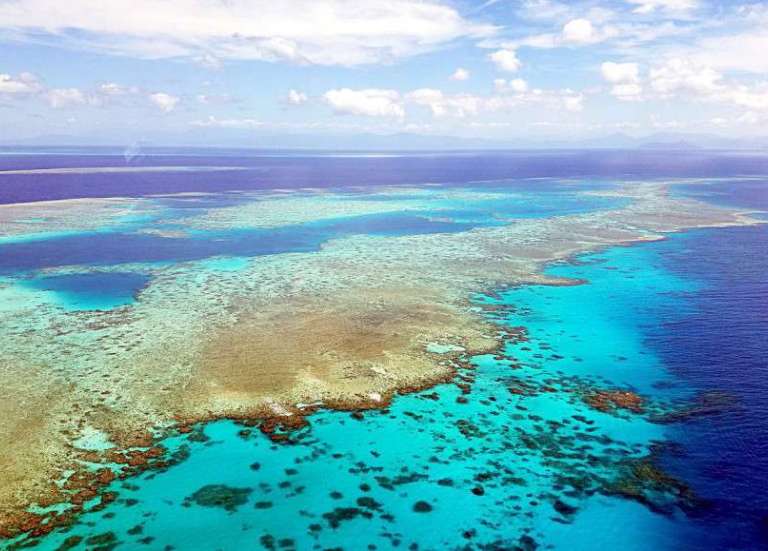 Australie : la Grande Barrière de corail pas