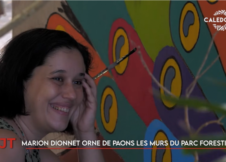 Street art au parc forestier, orientation au lycée... Le JT de Caledonia du 6 juillet