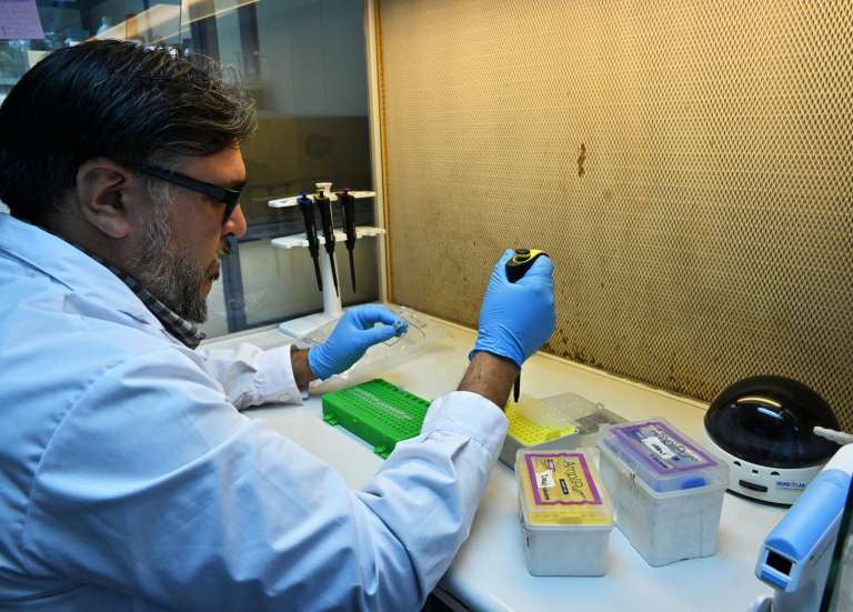 Grippe aviaire : un second cas détecté en Nouvelle-Zélande, la Nouvelle-Calédonie aux aguets