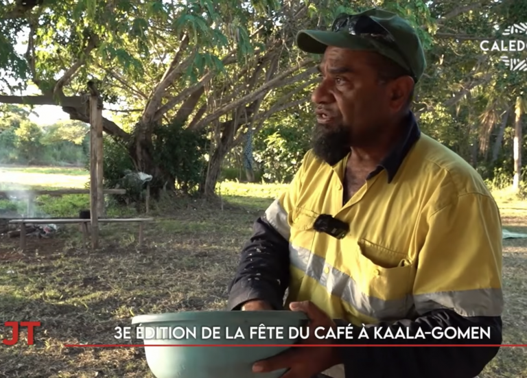Miss Calédonie 2026, Salon des collectionneurs, Fête du café à Kaala-Gomen… Le JT de Caledonia du 24 juillet