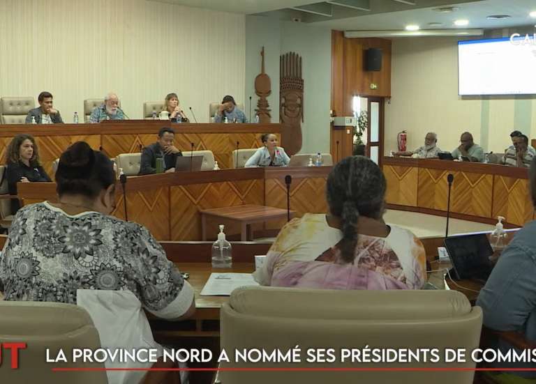 Forum face au changement climatique, les présidents de commission nommés en province Nord… Le JT du 30 juillet de Caledonia