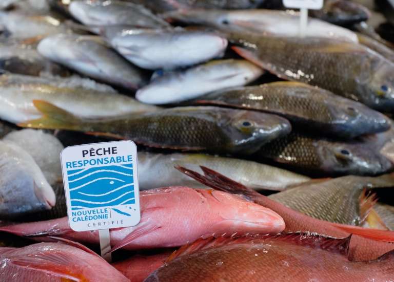 [MAGAZINE] Pêche responsable, un label qui prend le large
