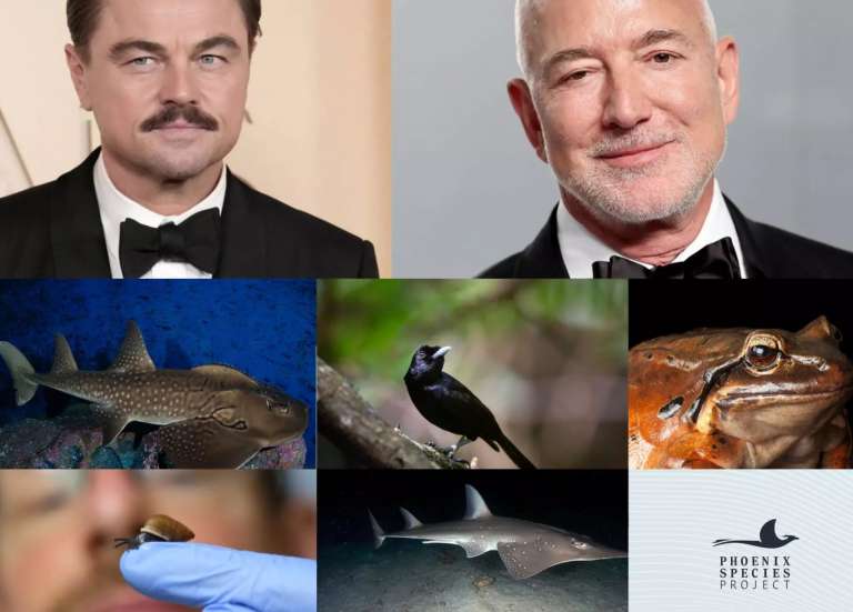Jeff Bezos et Leonardo DiCaprio : 20 milliards de francs pour 100 espèces menacées, dont certaines en Outre-mer